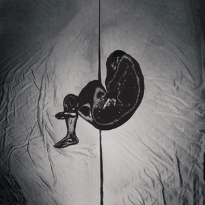 中日韩男女啪啪啪视频
